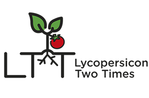 LTT - Lycopersicon Two Times Imagem 1