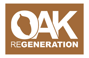 Oak®eGeneration - Estratégias e modelos de gestão florestal  ... Imagem 1