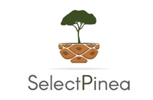 SelectPinea – Desenvolvimento de marcadores genéticos para c ... Imagem 1