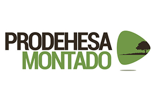 PRODEHESA MONTADO - Proyecto de Cooperación Transfronteriza ... Imagem 1