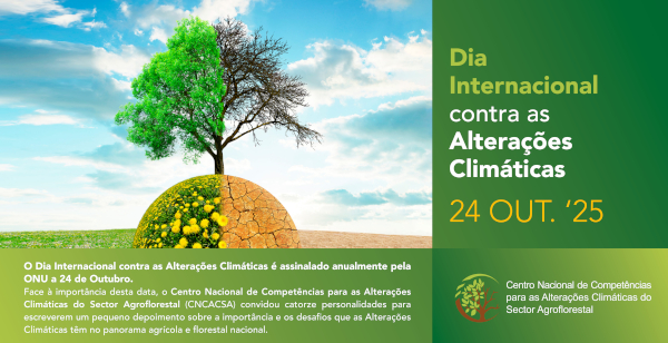 Newsletter Dia Internacional Alteracoes Climaticas 24out2025