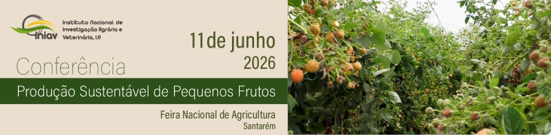 Conferencia INIAV Produção Sustentável de Pequenos Frutos
