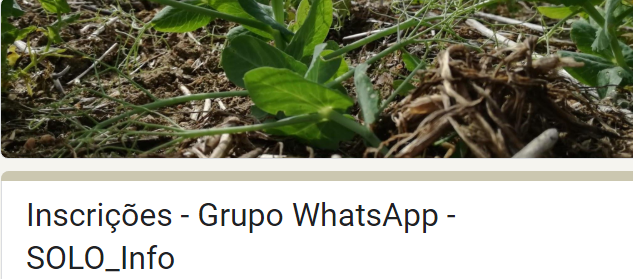 Sector agroflorestal nacional assinala Dia Mundial do Solo com a criação de um Grupo de WhatsApp denominado "Info SOLO"