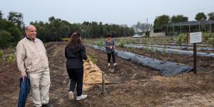 ALTERAÇÕES CLIMÁTICAS - QUE DESAFIOS SE COLOCAM À FILEIRA DOS PEQUENOS FRUTOS?