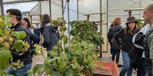 ALTERAÇÕES CLIMÁTICAS - QUE DESAFIOS SE COLOCAM À FILEIRA DOS PEQUENOS FRUTOS?
