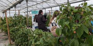 ALTERAÇÕES CLIMÁTICAS - QUE DESAFIOS SE COLOCAM À FILEIRA DOS PEQUENOS FRUTOS?
