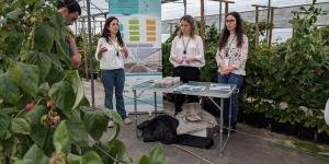 ALTERAÇÕES CLIMÁTICAS - QUE DESAFIOS SE COLOCAM À FILEIRA DOS PEQUENOS FRUTOS?