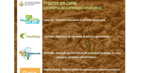 Geebovmit Fna 2024 Programa Webinar