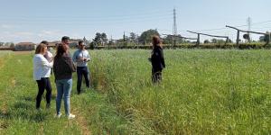 Dia campo do projeto FeedValue 2025 05 06