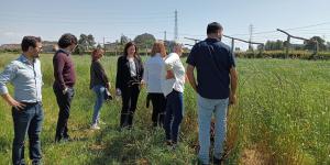 Dia campo do projeto FeedValue 2025 05 06