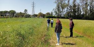 Dia campo do projeto FeedValue 2025 05 06