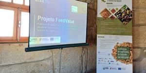 Dia campo do projeto FeedValue 2025 05 06