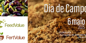 Dia campo FeedValue