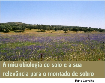 A microbiologia do solo e a sua relevância para o montado ... Imagem 1
