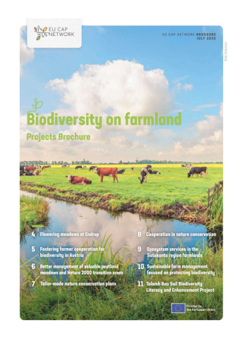 Biodiversity on Farmland Imagem 1
