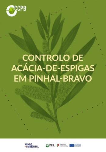 Controlo de Acácia-de-Espigas em Pinhal-Bravo Imagem 1