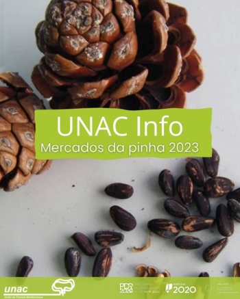 UNAC Info - Mercados da Pinha 2023 Imagem 1