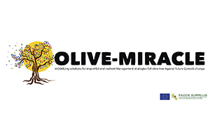 Olive-Miracle - ModellIng solutions for improved and ... Imagem 1