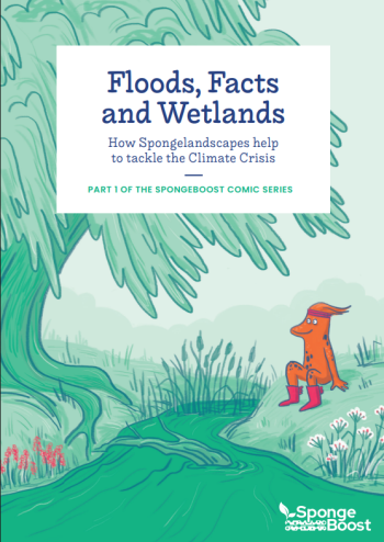 Floods, Facts and Wetlands - How Spongelandscapes help to ... Imagem 1