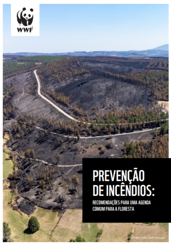 PREVENÇÃO DE INCÊNDIOS: RECOMENDAÇÕES PARA UMA AGENDA COMUM ... Imagem 1